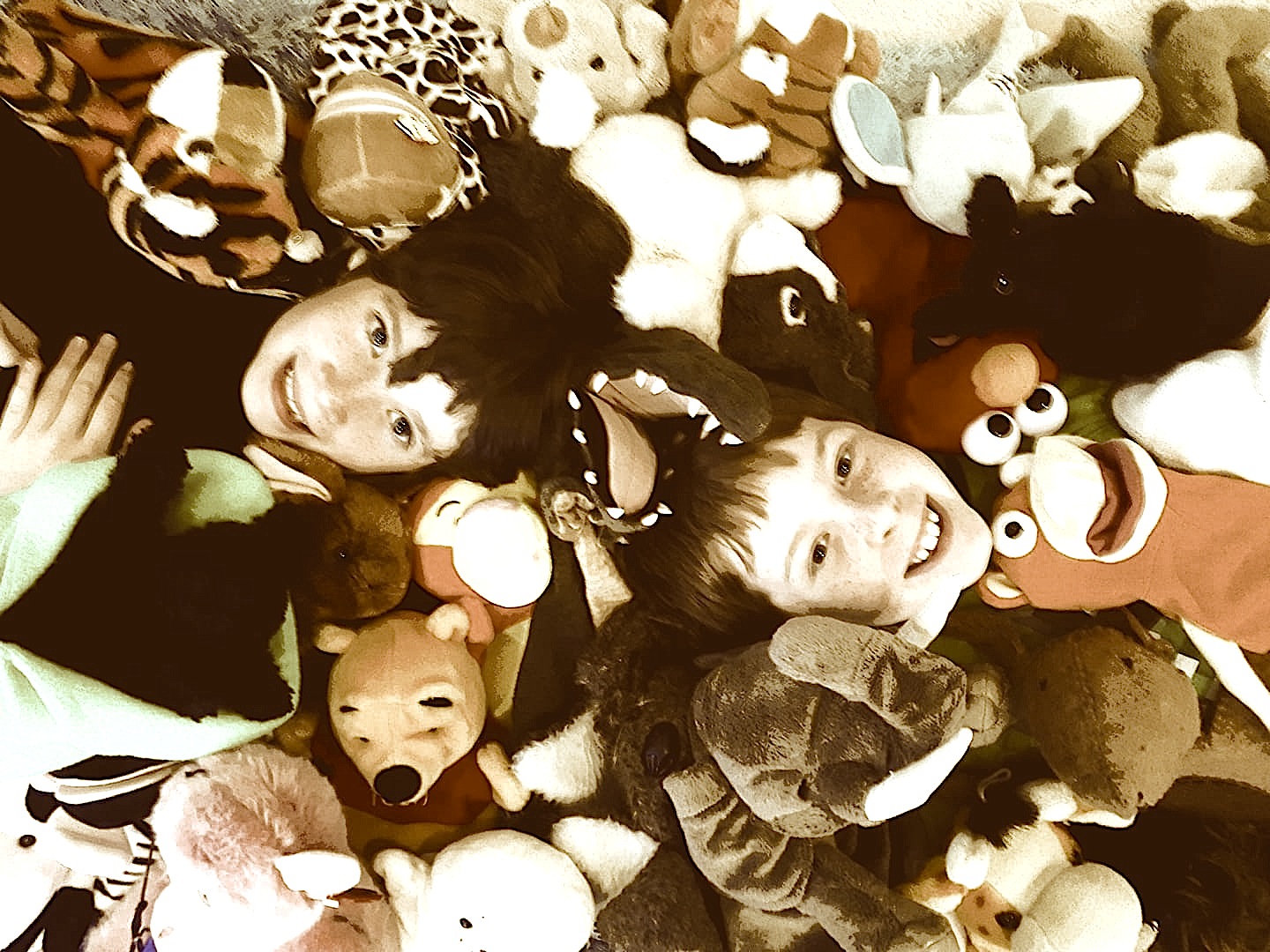 30582163_740651289473324_557475051234918400_o